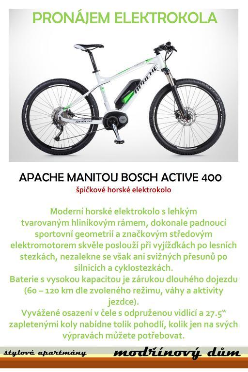 Apartmány Modřínový Dům Horni Plana Exterior foto